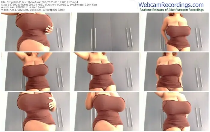 2025/03/17/stripchat-katt008-07-17-17