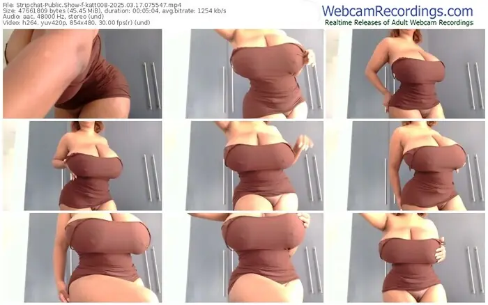 2025/03/17/stripchat-katt008-07-55-47
