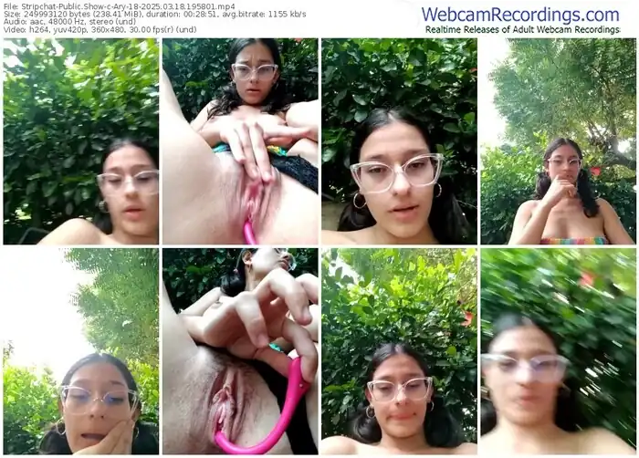 2025/03/18/stripchat-ary-18-19-58-01