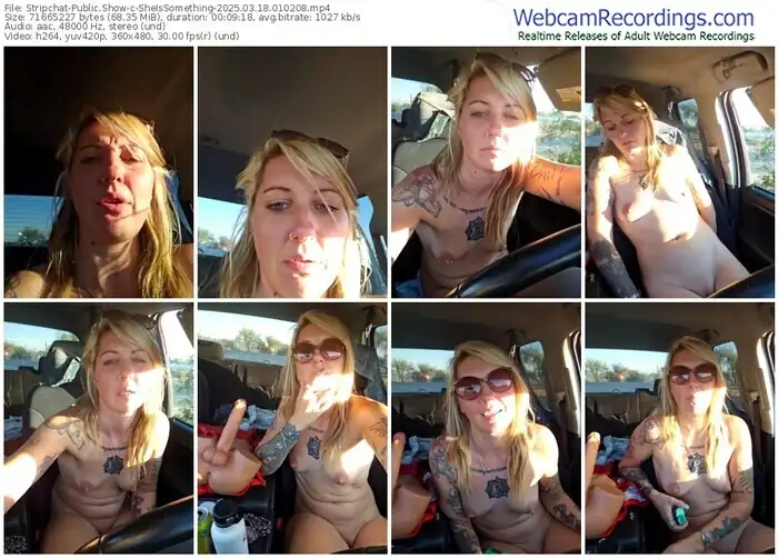 2025/03/18/stripchat-sheissomething-01-02-08