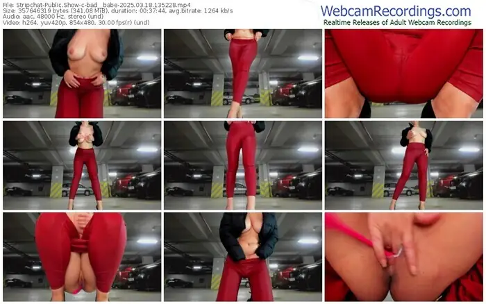 2025/03/18/stripchat-bad__babe-13-52-28