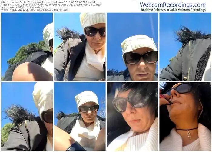 2025/03/18/stripchat-vogliosabustydream-08-52-29