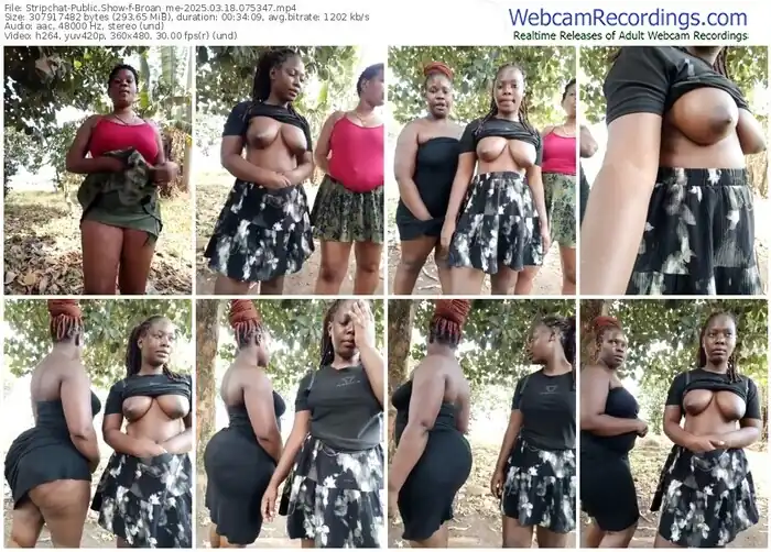 2025/03/18/stripchat-broan_me-07-53-47