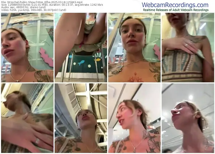 2025/03/18/stripchat-miss_elfie-12-58-43