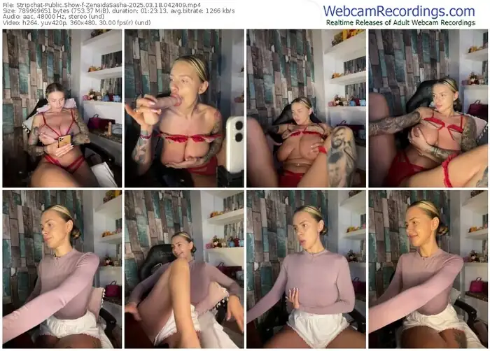 2025/03/18/stripchat-zenaidasasha-04-24-09