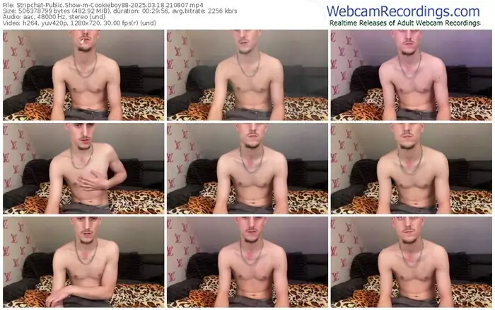 2025/03/18/stripchat-cookieboy88-21-08-07