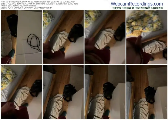 2025/03/18/stripchat-xy_monkeybigcock-02-52-33