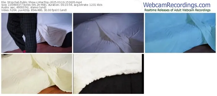 2025/03/19/stripchat-mactroy-15-36-35