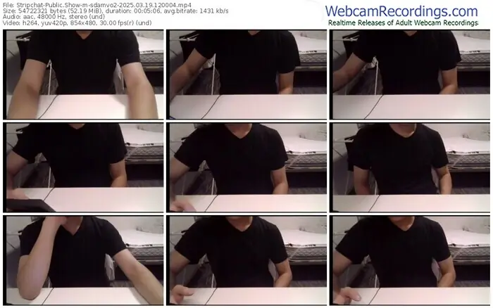 2025/03/19/stripchat-sdamvo2-12-00-04