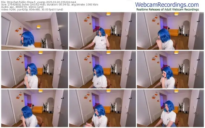 2025/03/20/stripchat-_vixenp-23-52-24