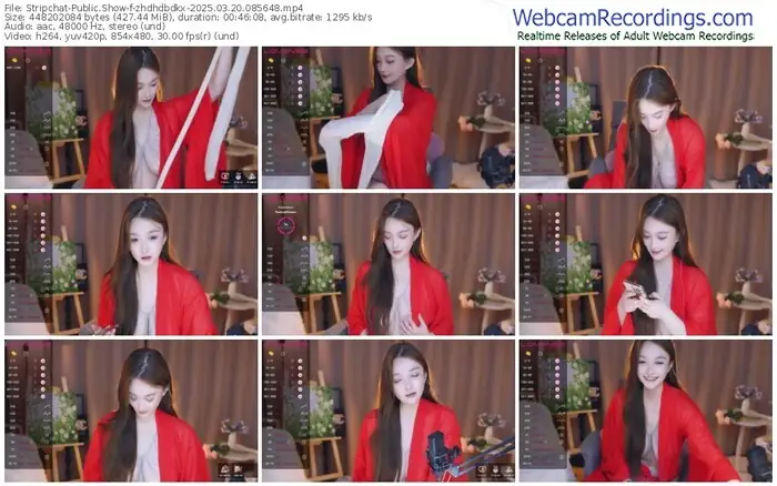 2025/03/20/stripchat-zhdhdbdkx-08-56-48