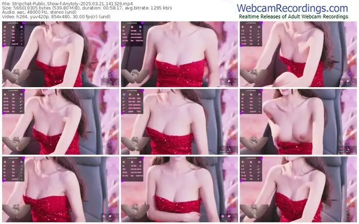 2025/03/21/stripchat-anytoly-14-13-29