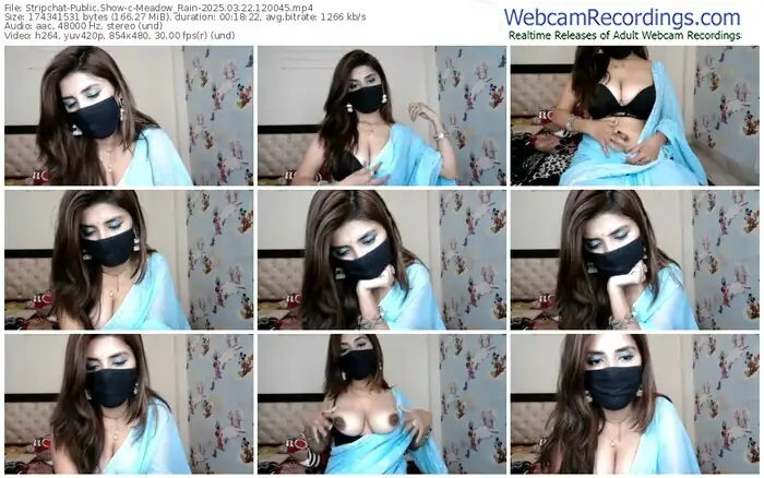 2025/03/22/stripchat-meadow_rain-12-00-45