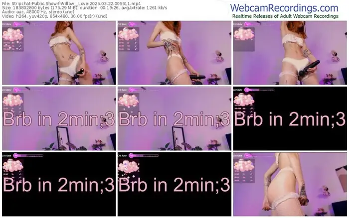 2025/03/22/stripchat-willow__love-00-56-11