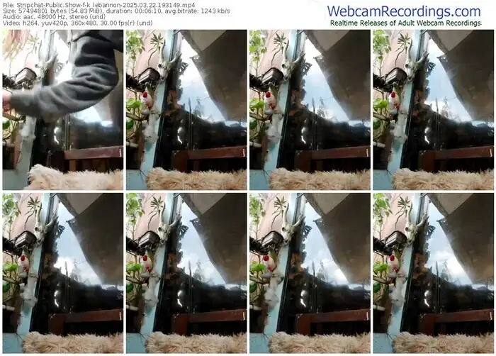 2025/03/22/stripchat-k_lebannon-19-31-49