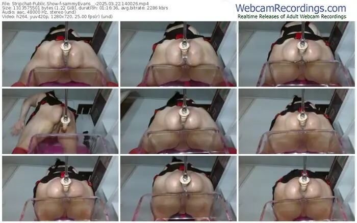 2025/03/22/stripchat-sammyevans__-14-00-26