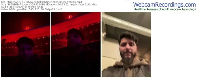 2025/03/22/stripchat-ticklishtiger-07-01-09