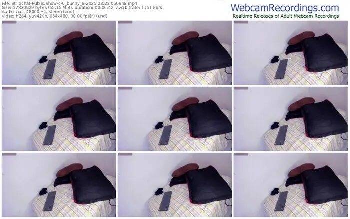2025/03/23/stripchat-6_bunny_9-05-09-48