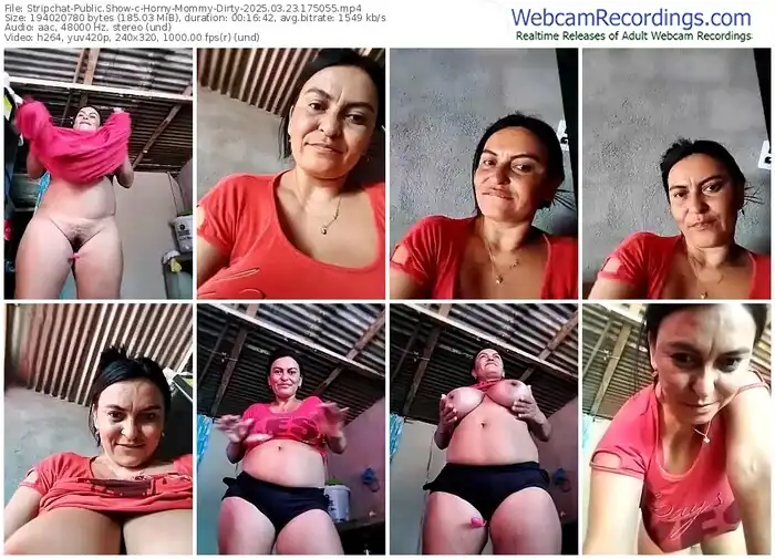 2025/03/23/stripchat-horny-mommy-dirty-17-50-55