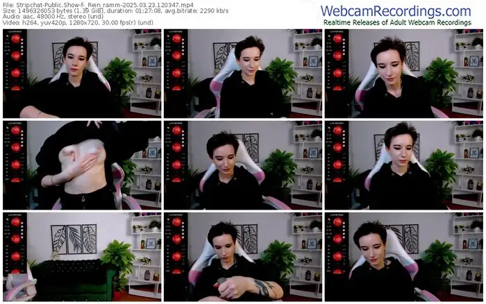 2025/03/23/stripchat-_rein_ramm-12-03-47