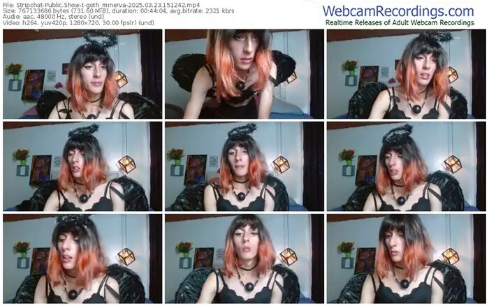 2025/03/23/stripchat-goth_minerva-15-12-42