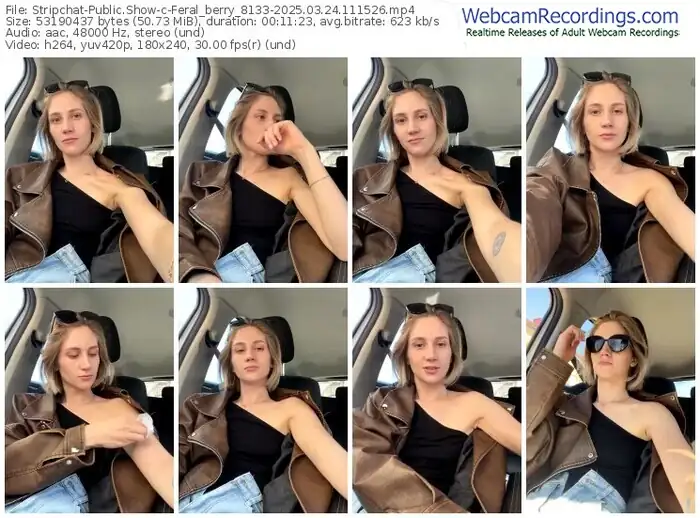 2025/03/24/stripchat-feral_berry_8133-11-15-26