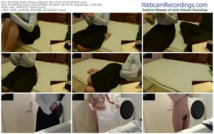 2025/03/24/stripchat-kakushi_dori-09-18-01