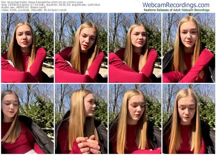 2025/03/24/stripchat-aniemiller-10-29-12