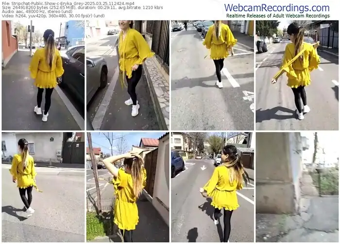 2025/03/25/stripchat-eryka_grey-11-24-24