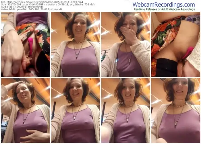 2025/03/25/stripchat-exhibitionsplit-11-02-13