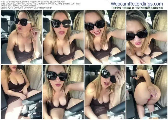 2025/03/25/stripchat-megan_off-10-04-35