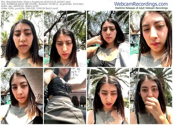 2025/03/25/stripchat-purplelinn-18-20-47