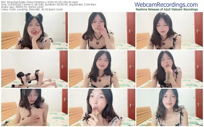 2025/03/25/stripchat-meimei-x-13-51-43