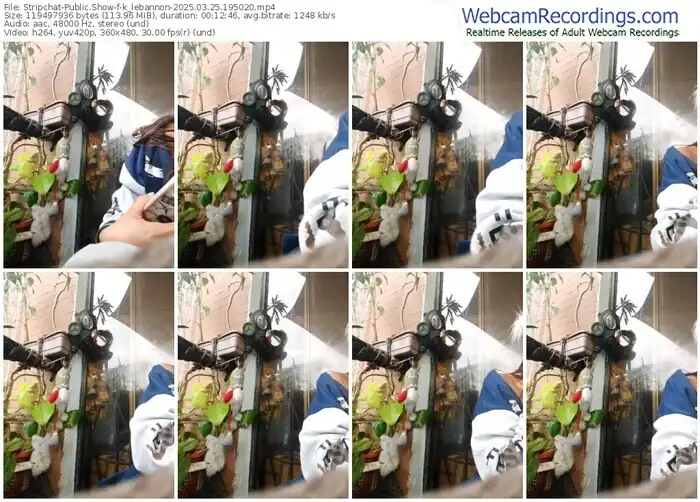 2025/03/25/stripchat-k_lebannon-19-50-20