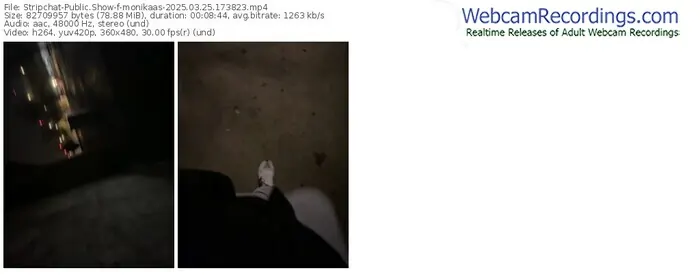 2025/03/25/stripchat-monikaas-17-38-23