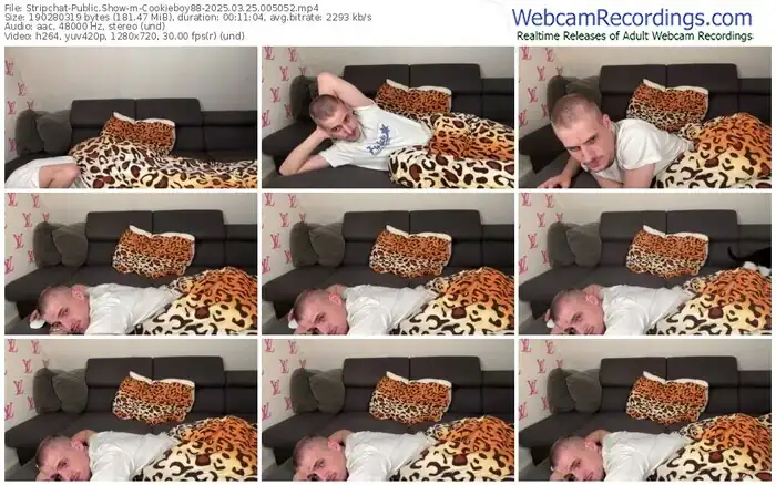 2025/03/25/stripchat-cookieboy88-00-50-52