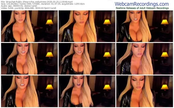 2025/03/25/stripchat-the_seductress-11-00-48