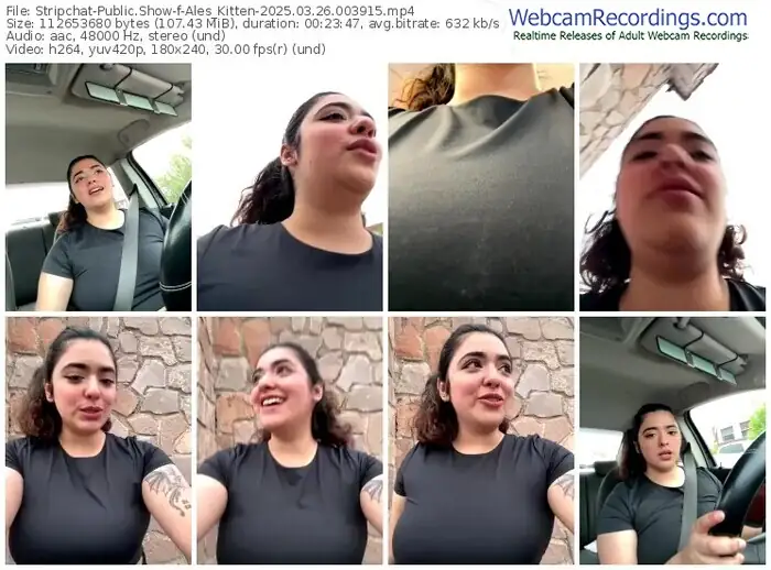 2025/03/26/stripchat-ales_kitten-00-39-15