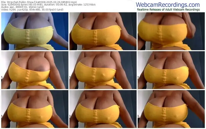 2025/03/26/stripchat-katt008-08-58-02