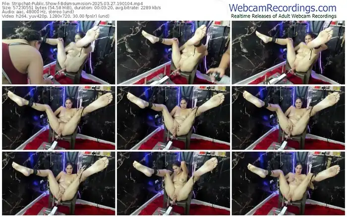 2025/03/27/stripchat-bdsmsumision-19-01-04