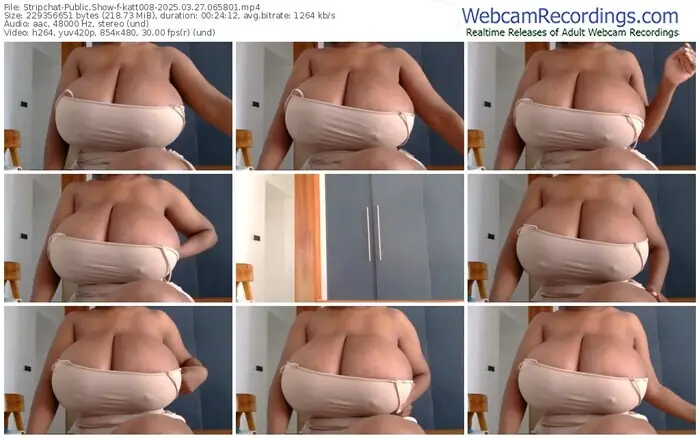 2025/03/27/stripchat-katt008-06-58-01