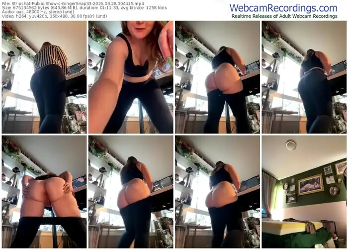 2025/03/28/stripchat-gingersnap33-00-44-15