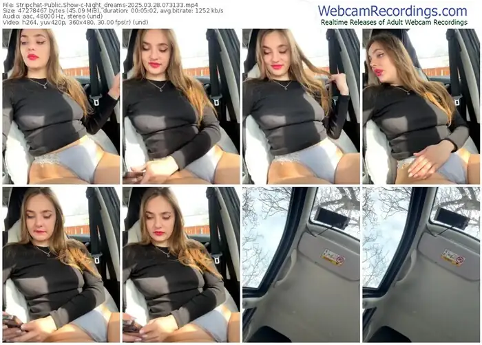 2025/03/28/stripchat-night_dreams-07-31-33