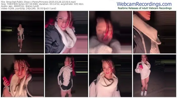 2025/03/28/stripchat-pennyprincess-22-19-16