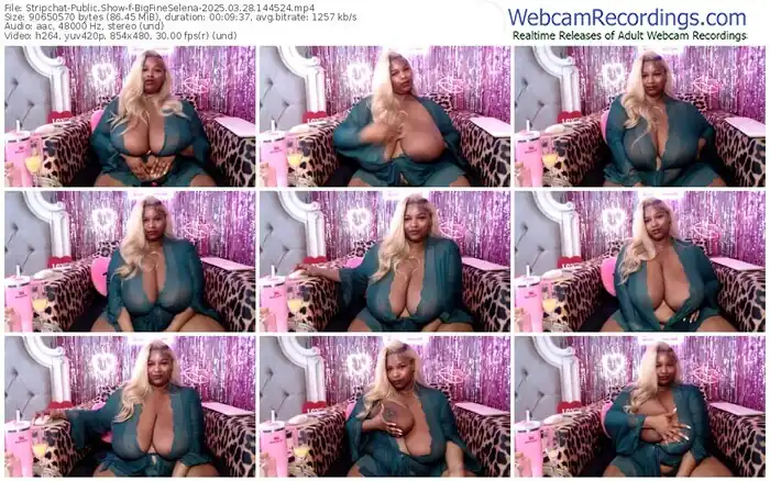 2025/03/28/stripchat-bigfineselena-14-45-24