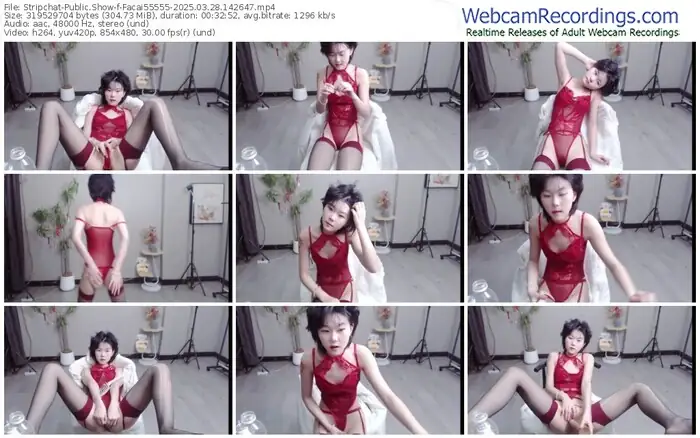 2025/03/28/stripchat-facai55555-14-26-47