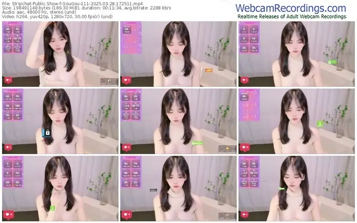 2025/03/28/stripchat-gougou-111-17-25-11