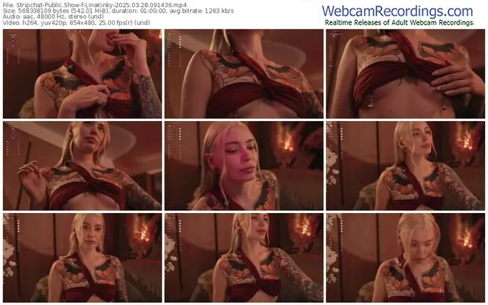 2025/03/28/stripchat-linakinky-09-14-36