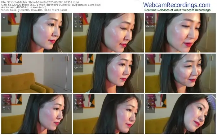 2025/03/28/stripchat-seulbi-16-33-59