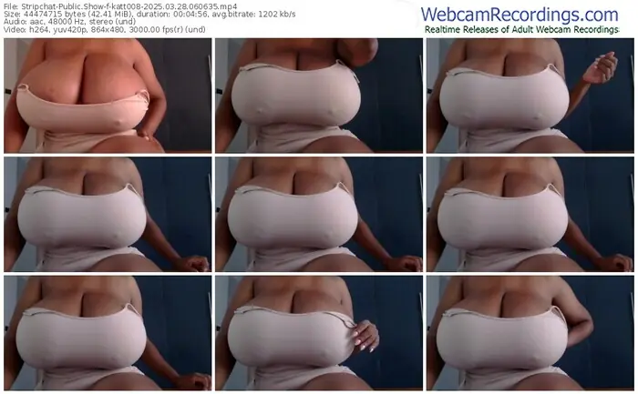 2025/03/28/stripchat-katt008-06-06-35
